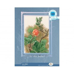 Muurain-ristipistotyö M961