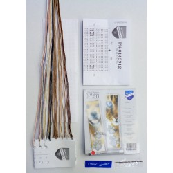 Kultainennoutaja -kirjanmerkki PN-0143912