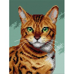 Bengalin kissa -kanavatyö 3362F ilman lankoja