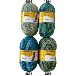 REGIA Etude Color 4ply -sukkalanka