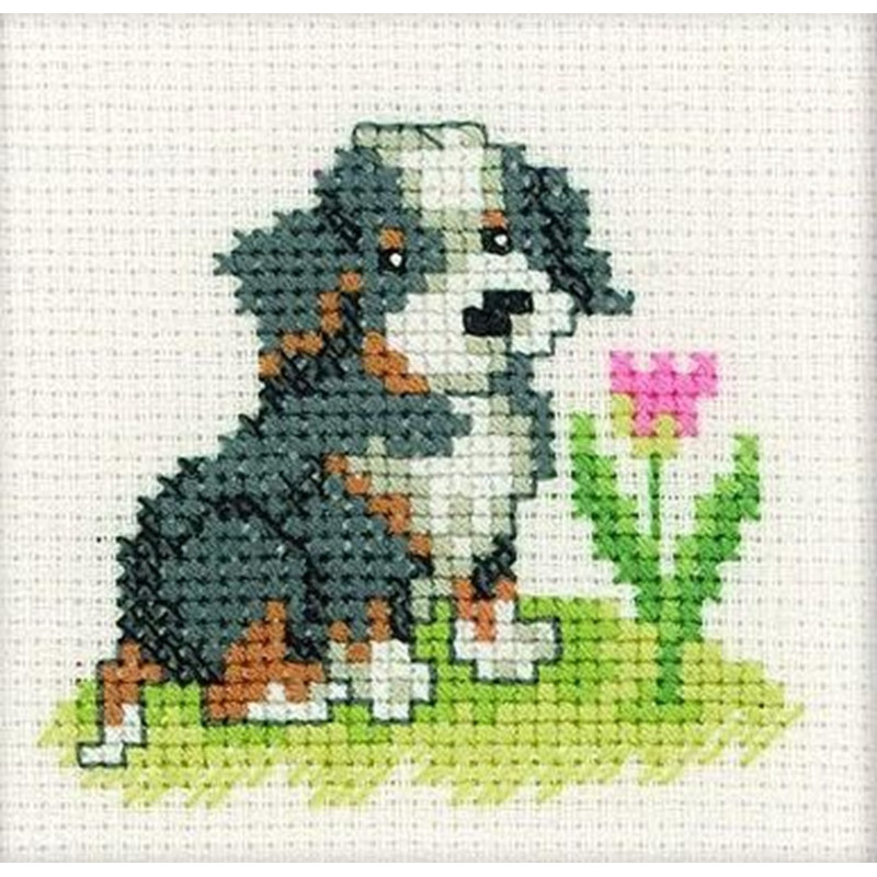 Berni-ristipistotyö H084