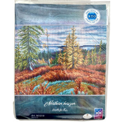 Pohjoinen horisontti -ristipistotyö M1019