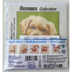 Labradorinnoutaja-ensimmäinen kanavatyöni 6767