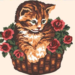 Kissa korissa -kanavatyö 4013K