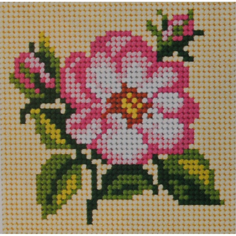 Villiruusu-ensimmäinen kanavatyöni 6748