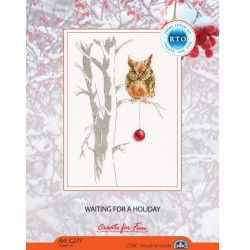 Lomaa odotellessa -ristipistotyö C277