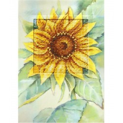 Auringonkukka-onnittelukortti 6229